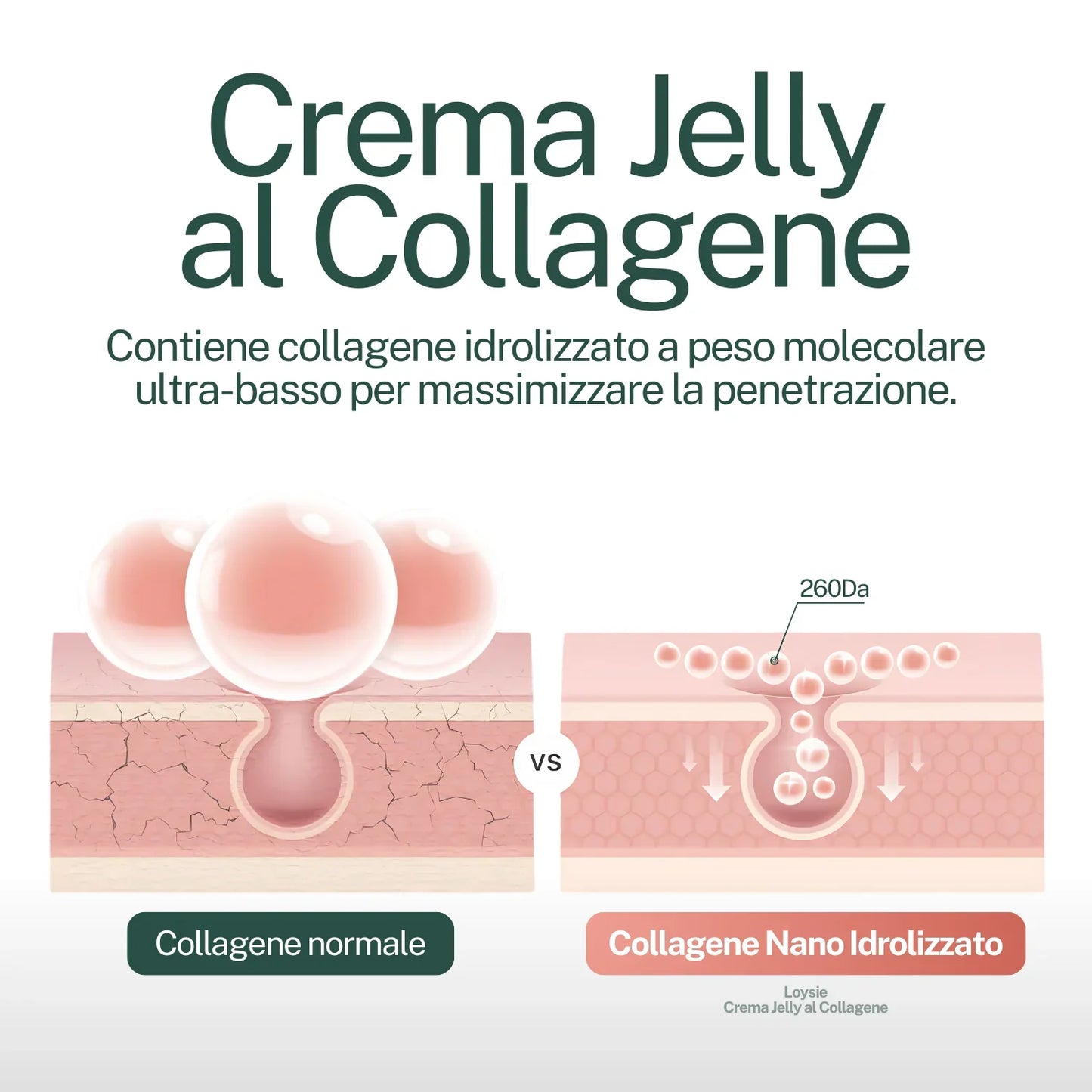 Crema Jelly al Collagene (con Niacinamide)